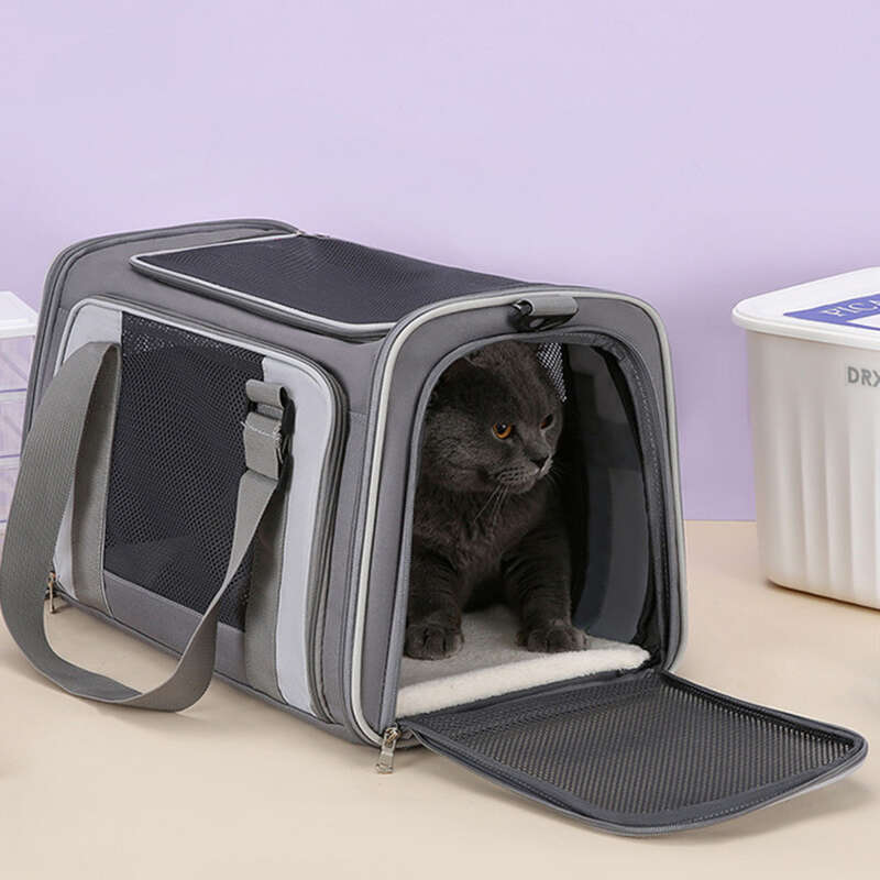 Sac à bandoulière pour chat, portable et respirant, pliable, grande capacité, pour animal de compagnie_voghion.com