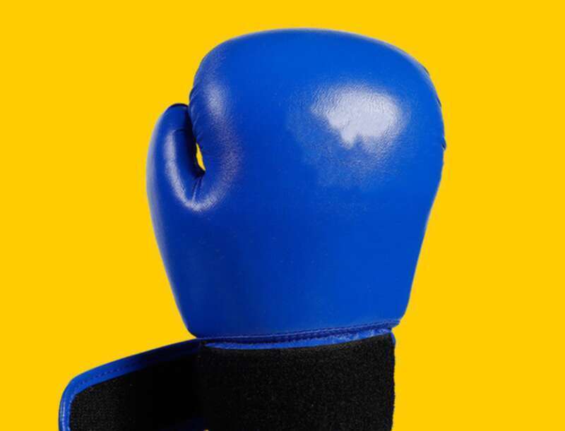 【 34000 People's Collection 】 Boxing Adult Professional Training Men's And Women's Sanda Sandbag Muay Thai Fighting_desvips.com