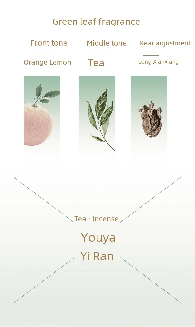 Nouveau parfum explose SACO Island Tea Yulong Tea Parfum frais Parfum naturel Parfum boisé d'agrumes_voghion.com