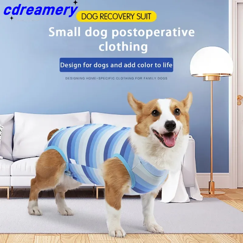 Hunderehabiliteringsdrakt Postoperativ vest Firbent jumpsuit Hundeklær Anti-slikking av sår etter operasjon Valpesommerklær_voghion.com