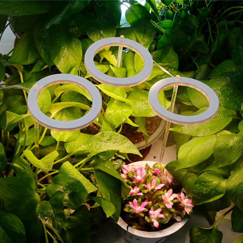 Angel Ring Grow Light For Plants Phyto Grow Lamp USB 5V Phytolamp Growth Landscape Lighting For Indoor Plants Bonsai Flowers_voghion.com