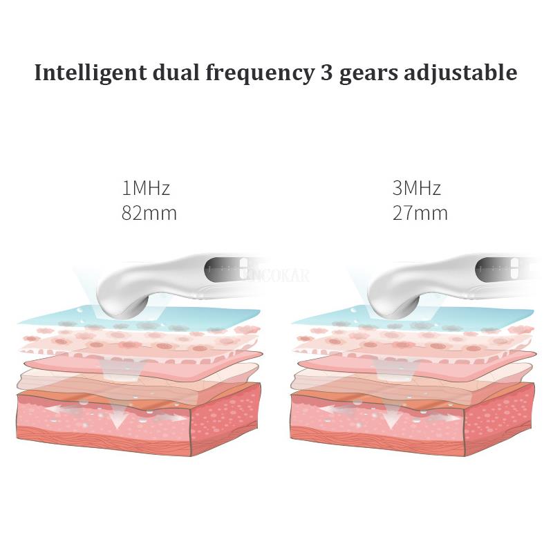 Equipo de fisioterapia para artritis, masajeador de pulso microeléctrico para el hogar, estimulador muscular portátil de 220 V para aliviar el dolor corporal en la cintura._voghion.com