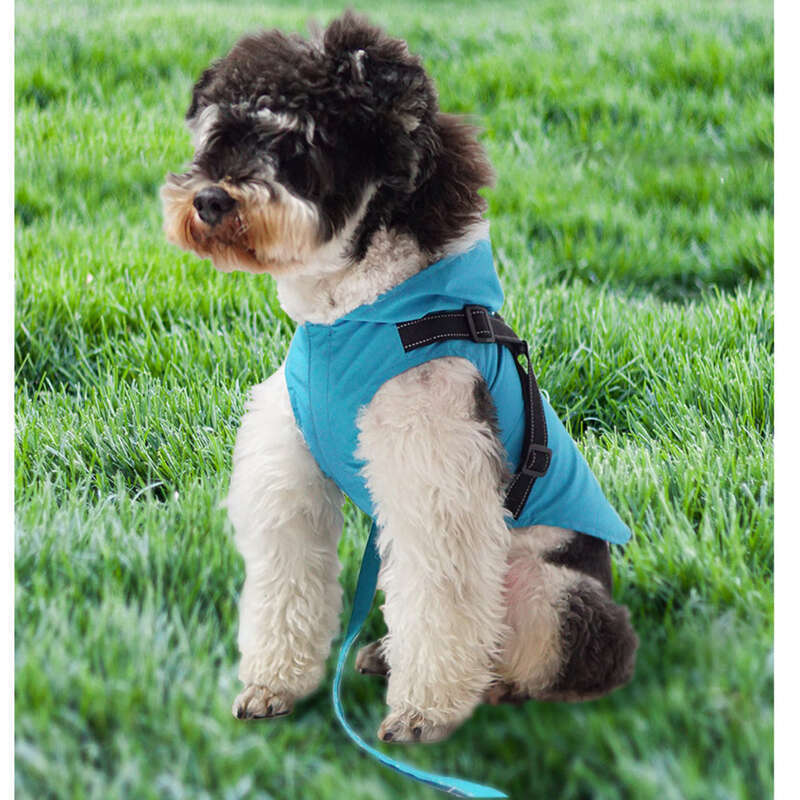 Ropa nueva para perros: impermeable reflectante, transpirable y resistente al agua para perros grandes y pequeños._voghion.com