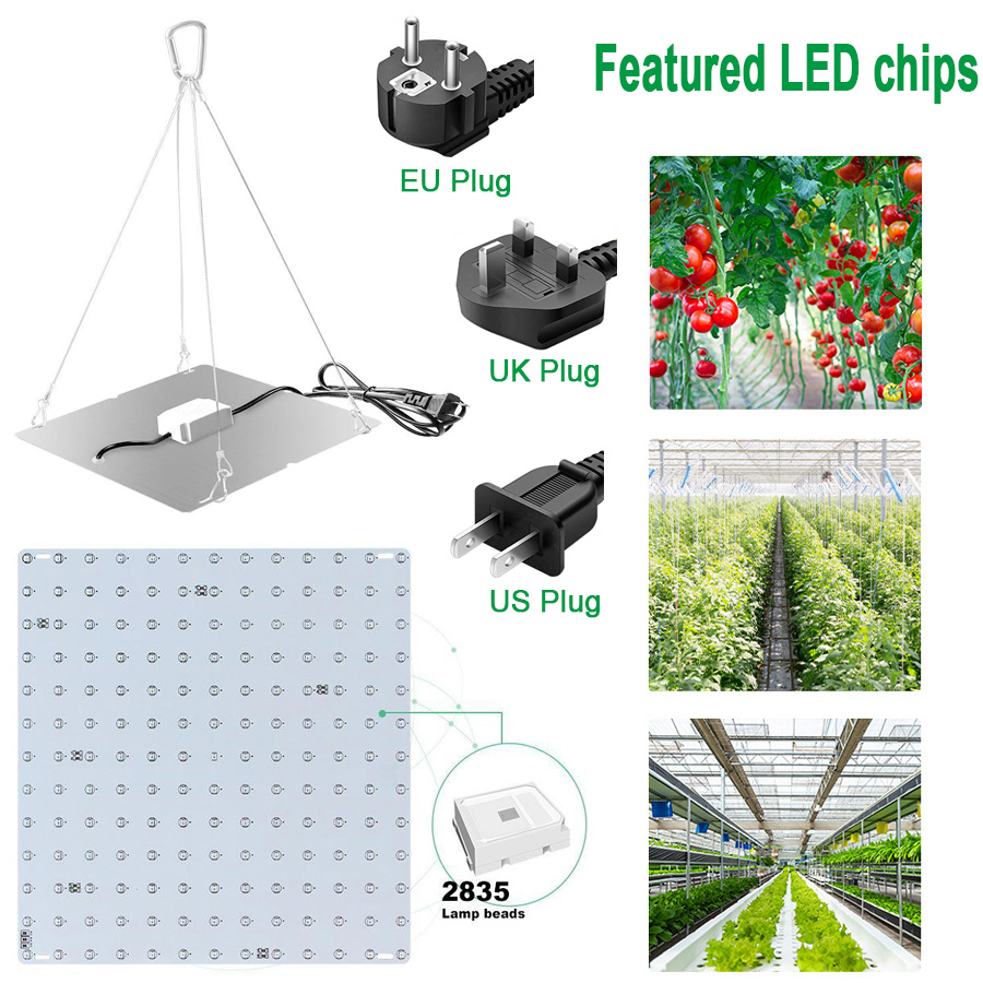 1000W Grow Light Led Full Spectrum Lampe 1500W Led Plant Pære Drivhuse Indendørs Phytolamp Til Planter Voksende Telt US EU UK Plug_voghion.com
