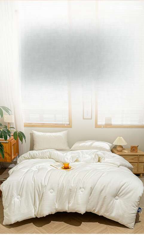 Japan Nishikawa A Grade Cotton Spring And Autumn Quilt 51% Soybean Antibacterial Summer Quilt, Winter Quilt Core,_voghion.com