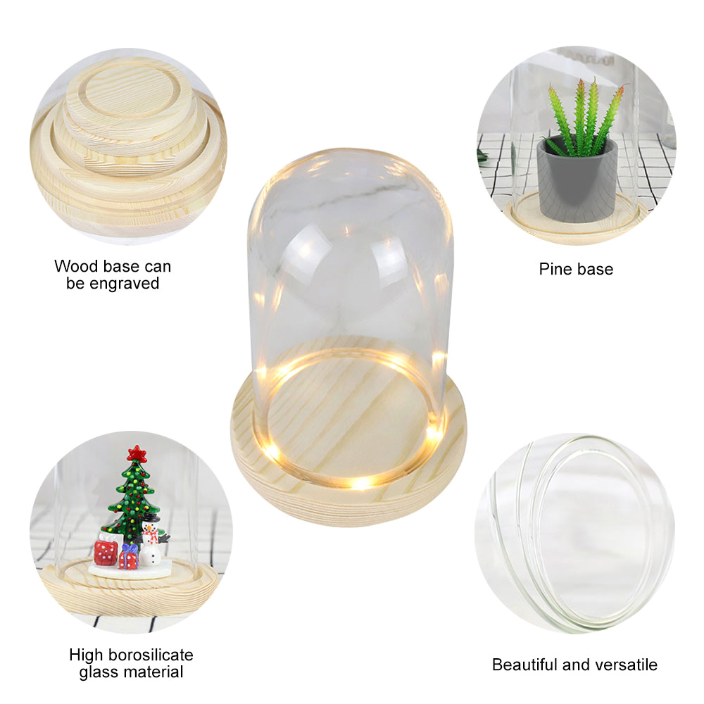Stikla kupola koka pamatne ar LED gaismas ainavu vāzi, sausu ziedu sloksnes vāku, DIY sukulentu augu konteinera turētāja guļamistabas dekors_voghion.com