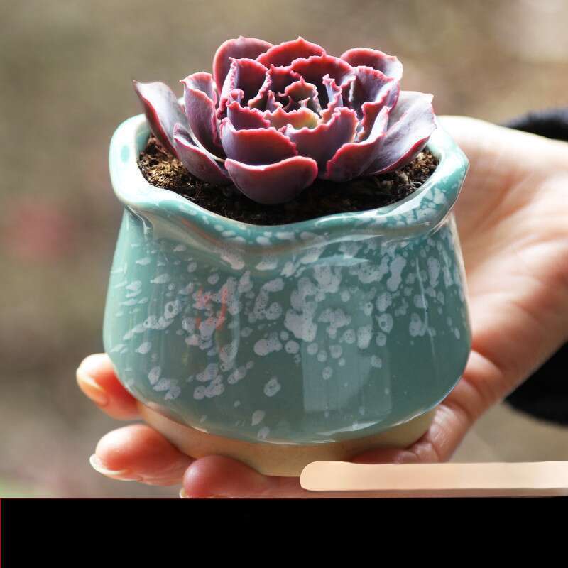 Succulent Flower Pot, Horticultural Mini Creative Rough Ceramic, Home Furnihing, New Product, Ceramic Jar, And_voghion.com