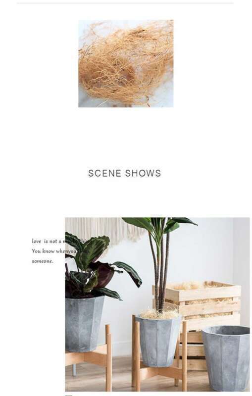 【 1509 People Praised 】 Hainan Natural Coconut Palm Silk Bedding, Horticultural Flowers, Potted Plants, Decorative_voghion.com