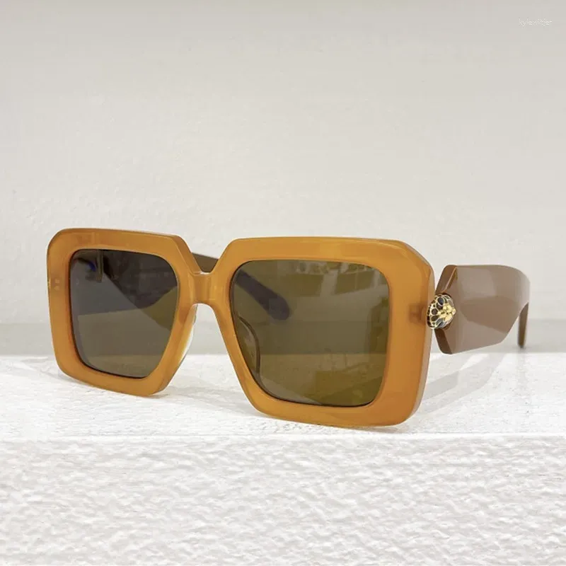 Sonnenbrillen für Herren, hochwertiges Design, klassischer Acetatrahmen, für Outdoor-Reisen, Autofahren, Business-Trend, Tragebrille_voghion.com