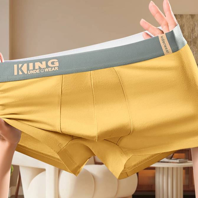 Boxers en coton pour hommes – Sous-vêtements respirants et antibactériens (Lot de 1, plusieurs couleurs disponibles, tailles L à 6XL)_voghion.com