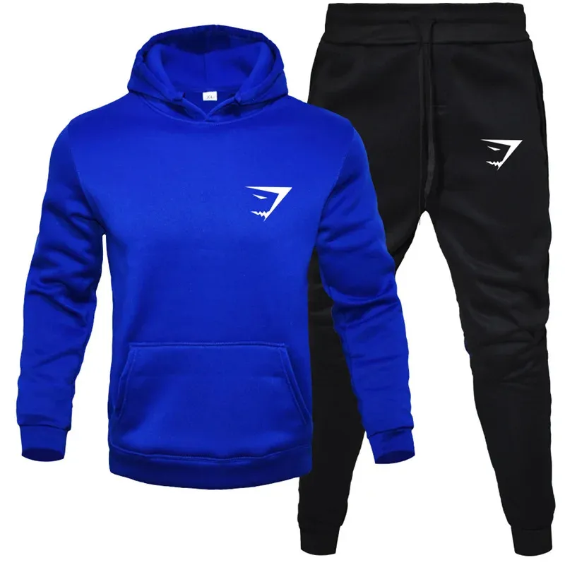 Survêtements pour hommes, survêtements de sport, vêtements de sport décontractés, pantalons de jogging, pulls, sweats à capuche en polaire, couleurs unies, tailles S à XXXL_voghion.com