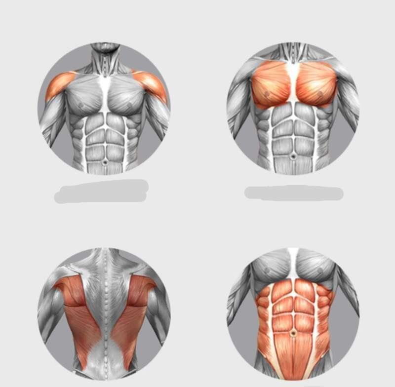 【 20000 Repurchases 】 Automatic Rebound Healthy Abdomen Men's Women's Contraction Wheel, Slimming Waist And Belly, Home_voghion.com