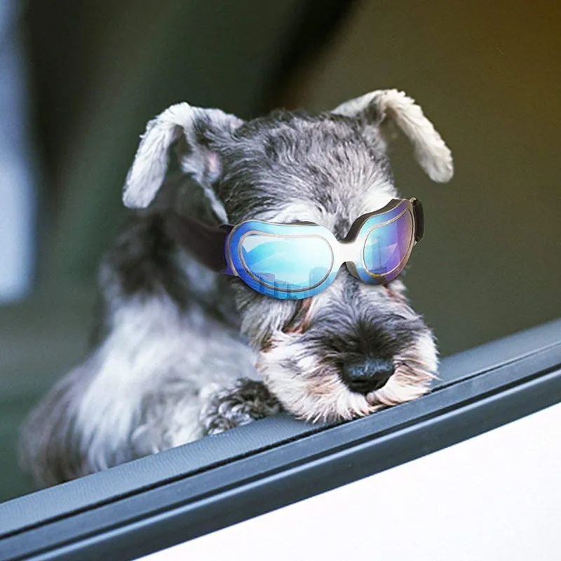 Lunettes de soleil tendance pour petits chiens, coupe-vent, anti-poussière, avec bande réglable pour protection UV_voghion.com