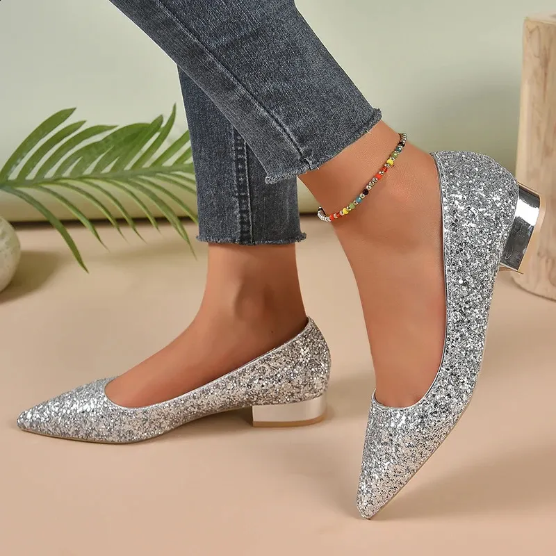 Sier Lage Hakken Pumps Vrouwen Herfst Glanzende Pailletten Puntige Teen Feest Vrouw Plus Size Eenvoudige Dikke Hak Dames Schoenen_voghion.com