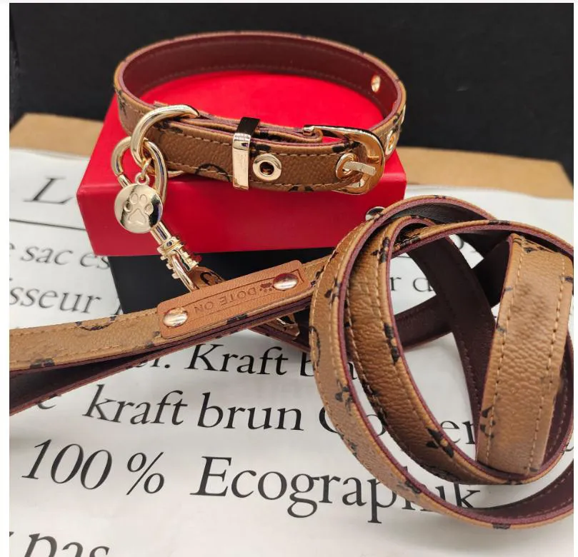 Guinzagli con retro in PU e lettera, in pelle, con collare Teddy, per passeggiate con cani e gatti, con fiori, di design, per animali domestici_voghion.com