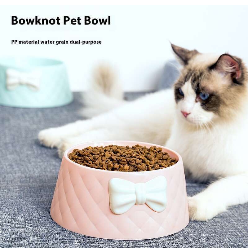 Gamelle en plastique pour animaux de compagnie et chats, gamelle en forme d'arc pour chien_voghion.com