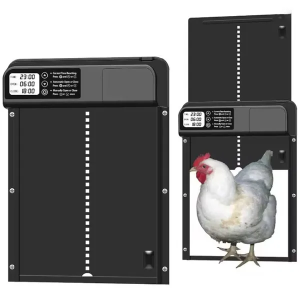 Apriporta automatico per pollame con alimentazione solare, design resistente in alluminio._voghion.com