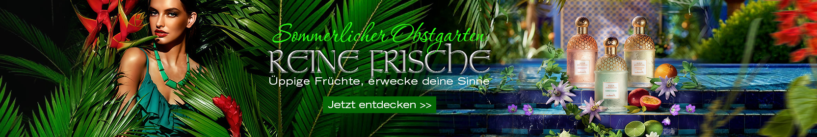 Voghion_Gutscheinbanner