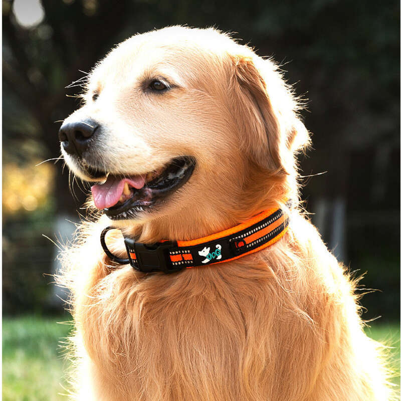 Sandwich Comfortable Large Medium Dog Golden Retriever Outdoor Collar Adjustable Durable Pet Supplies_voghion.com