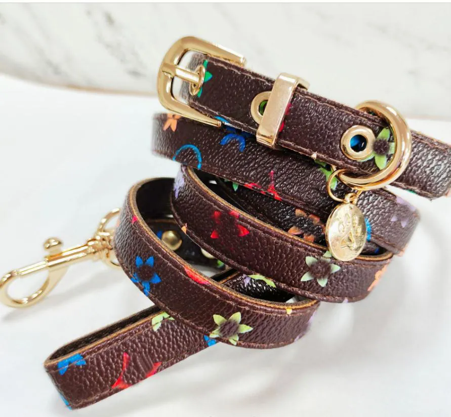 Guinzagli con retro in PU e lettera, in pelle, con collare Teddy, per passeggiate con cani e gatti, con fiori, di design, per animali domestici_voghion.com