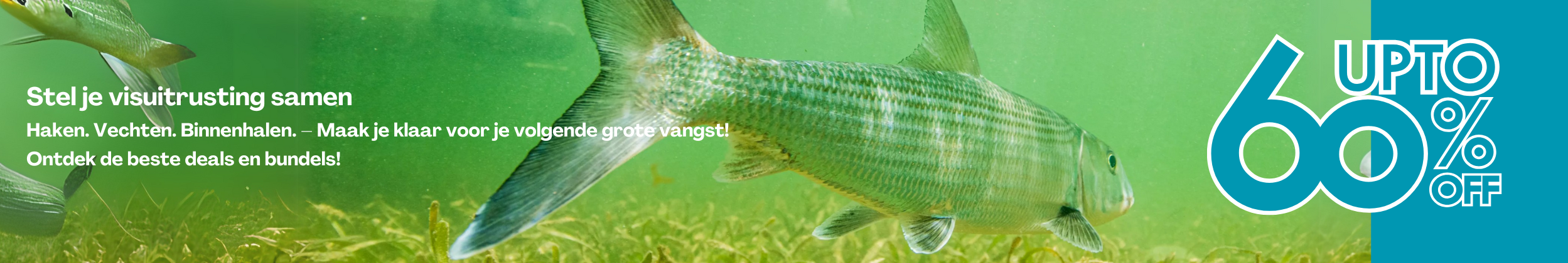Voghion_coupon_banner