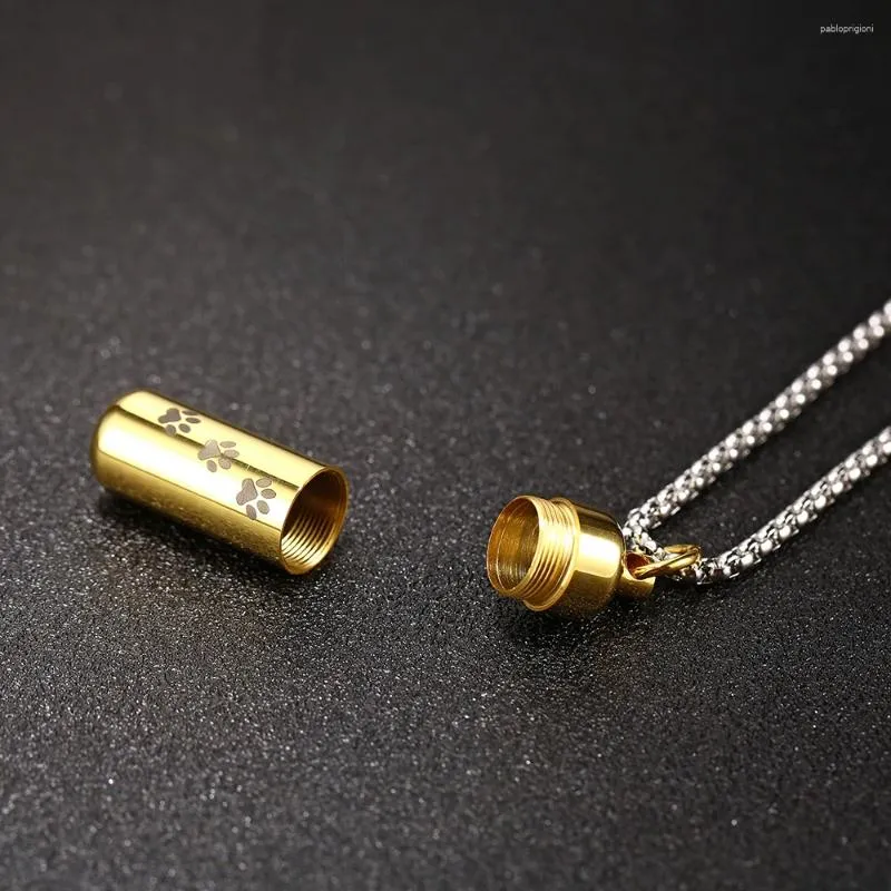 Collane con ciondolo in acciaio inossidabile, collana con zampa di animale domestico, souvenir commemorativo per la cremazione, accessori per cuccioli per le ceneri_voghion.com