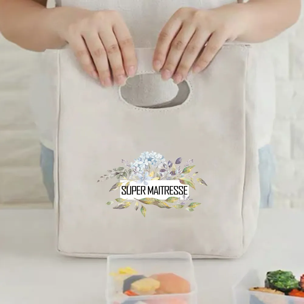 2023 Canvas Lunch Dinner Bags Print Handbag Picnic Travel Breakfast Box Lunchbox School Child Thermal Bag Tote Food Door_voghion.com