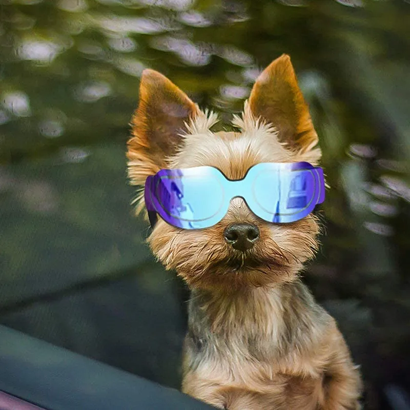 Lunettes de soleil tendance pour petits chiens, coupe-vent, anti-poussière, avec bande réglable pour protection UV_voghion.com