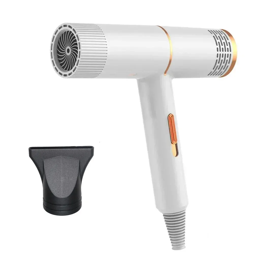 Luxury Ionic Blow Dryer - Salon Cold Wind Professional Styler_voghion.com
