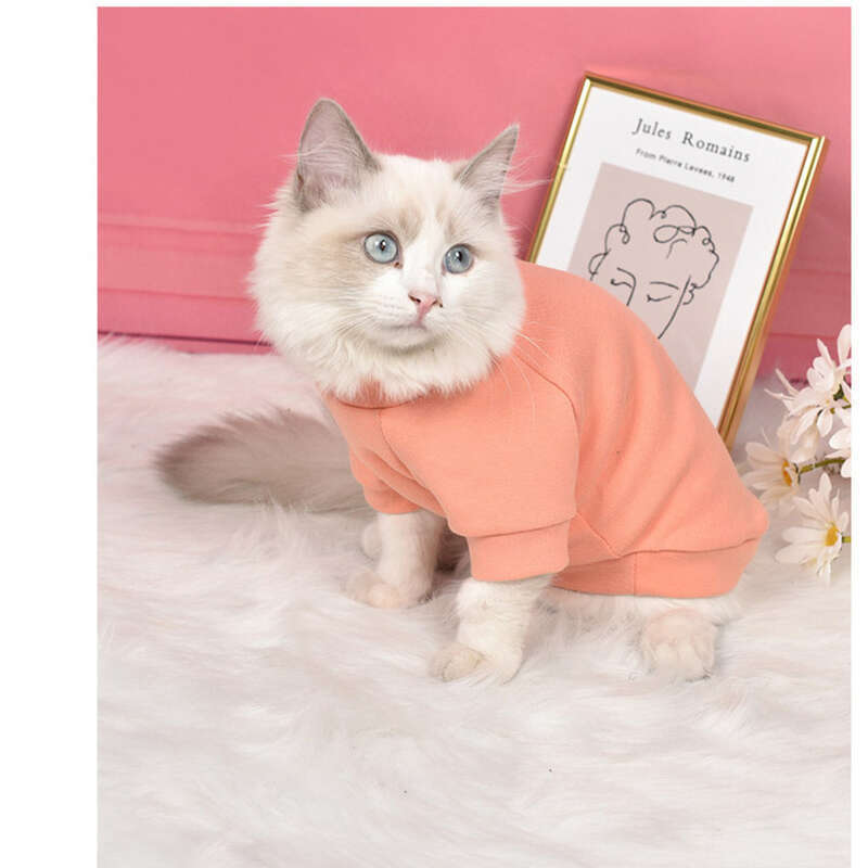 Nuevo oso de peluche para perro, ropa de dos patas para otoño e invierno, ropa para gatos_voghion.com