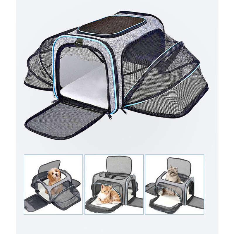 Sac à dos pour chat, grande capacité, portable, respirant, pour animal de compagnie, pour chien, boîte d'aviation_voghion.com