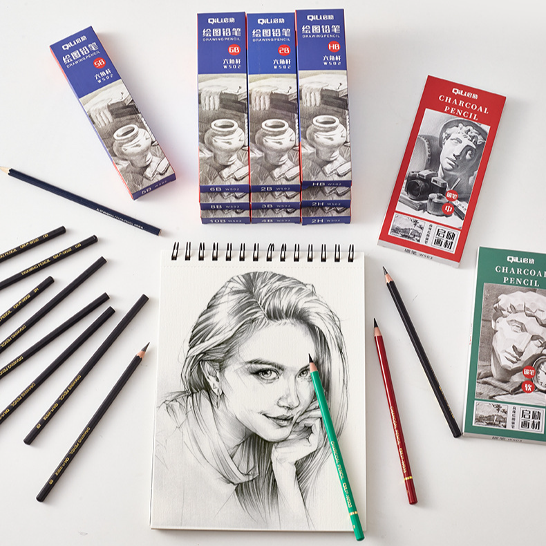 Professional Sketch Pencils Set - 12 Pack Art Graphite Pencils (2H HB 2B 3B 4B 5B 6B 8B 10B) & Charcoal Pencils (Soft Medium) For Drawing, Shading