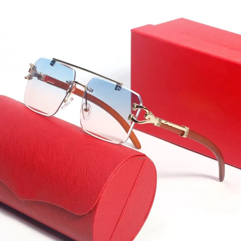 CT7234 cool sunglasses mens cart sunglass oversize square leopard arms double rod nose bridge blue purple metal glasses_voghion.com