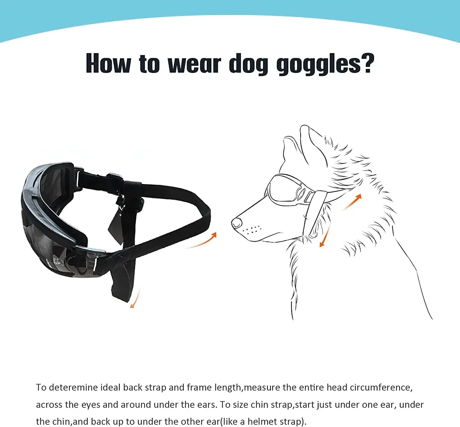 Abbigliamento per cani che indossa occhiali da sole affronta una neve nuvolosa Occhiali che rendono un animale domestico di medie dimensioni_voghion.com