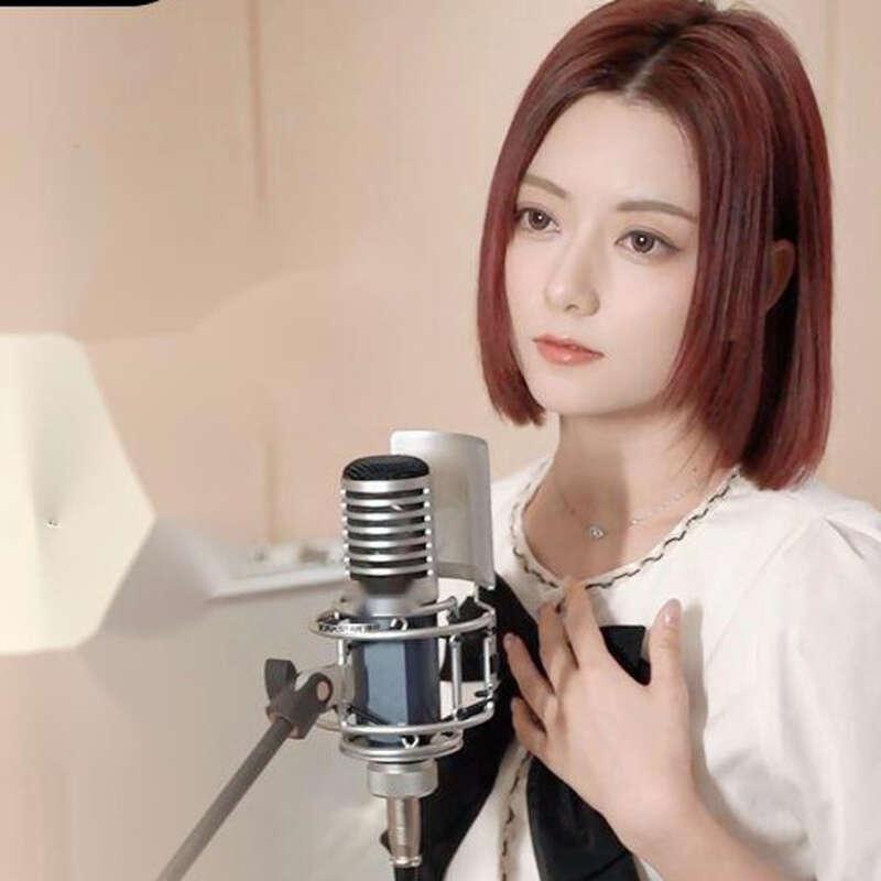 Carte son professionnelle à condensateur haut de gamme pour karaoké, enregistrement, chant, doublage, microphone Desheng_voghion.com