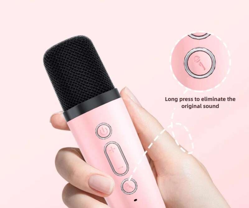 Microphone And Speaker Integrated Microphone Home Wireless Bluetooth Universal Singing Karaoke Children Small Family Ktv Set_voghion.com