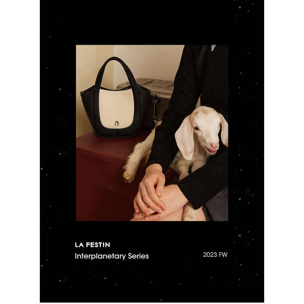 LA FESTIN Original Handbags For Women Trend 2024 Leather Crossbody New Style Large Capacity Shopping Bag_voghion.com