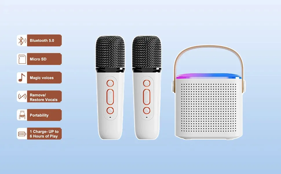 Microphone Portable Bluetooth Karaoke Speaker With 2 Wireless Handheled Microphones For Home Party 240621_voghion.com