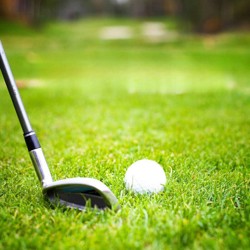 Skalatrykk Tee heltre spiker 83 mm golf treballknotter_voghion.com
