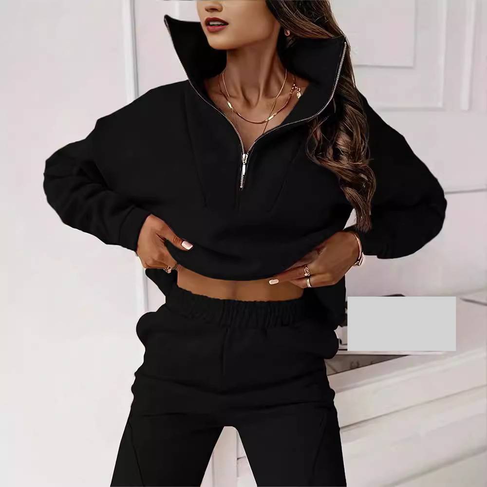 Damenbekleidung Mode Einfarbig Pendler Lässig Stehkragen Pullover Hose Set Zweiteiliges Set_voghion.com