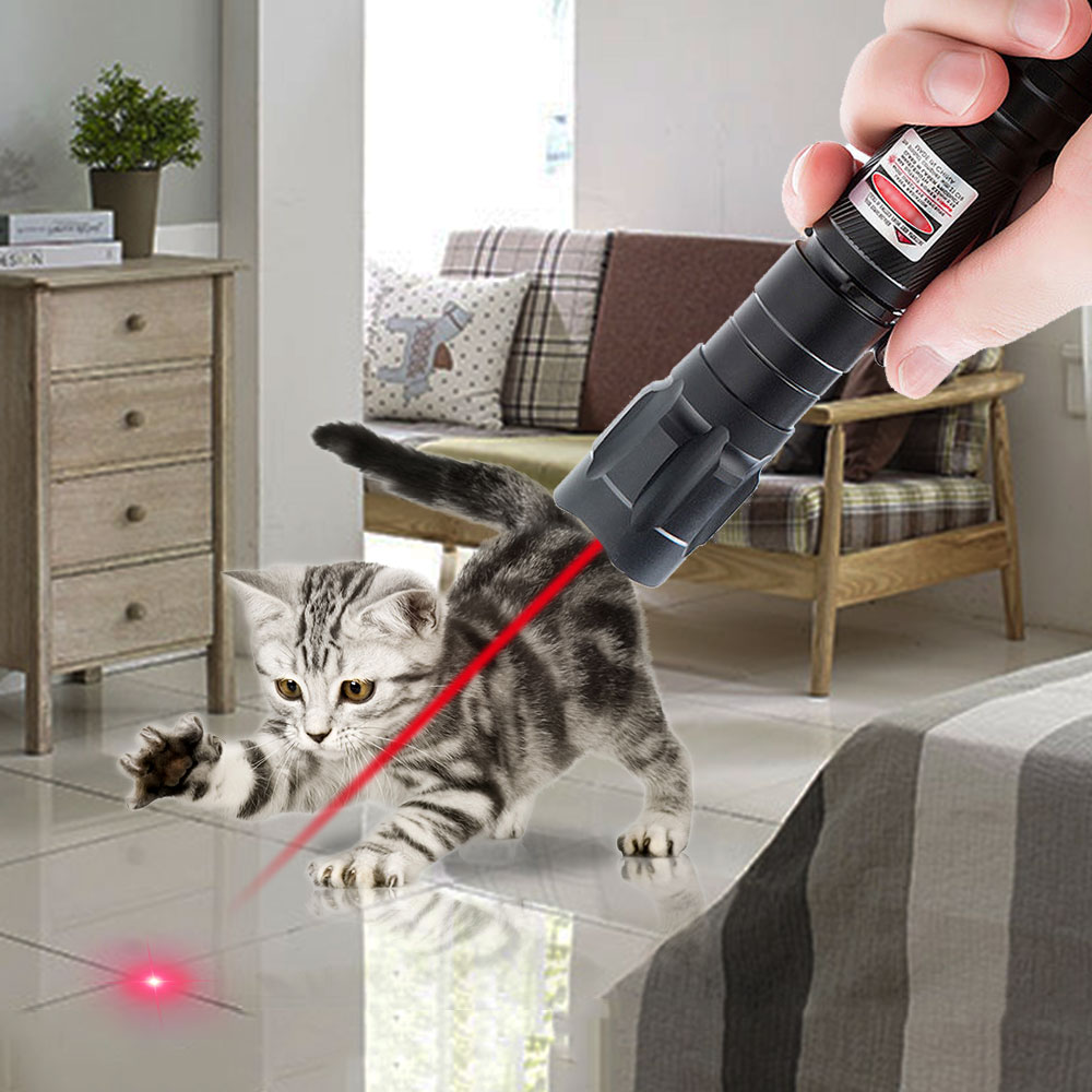009 Gypsophila RED Laser Beam Pointer Pen Optical Maser Visible Starry Torch_voghion.com