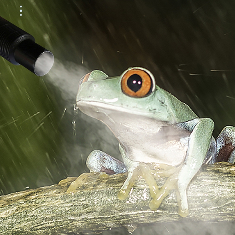 Mist Fogger Lizard Tortoise Herps Pet Supplies Accessories Reptile Humidifier Amphibians Terrariums Chameleon With Hose Vivarium_voghion.com