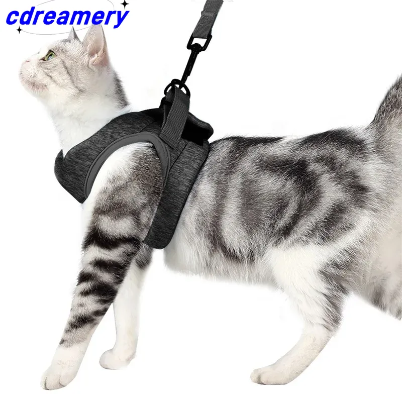 Cat Harnesses And Belts, Soft Vest Harnesses For Walking Escape Proof, Breathable Reflective Strip Jackets For Cat Accessories_voghion.com
