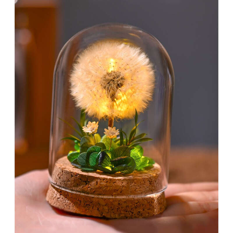 Lampada da notte Eterna Fiore essiccato Dente di leone Esemplare Copertura in vetro Donata a madre, insegnante, compagna di classe Desktop_voghion.com