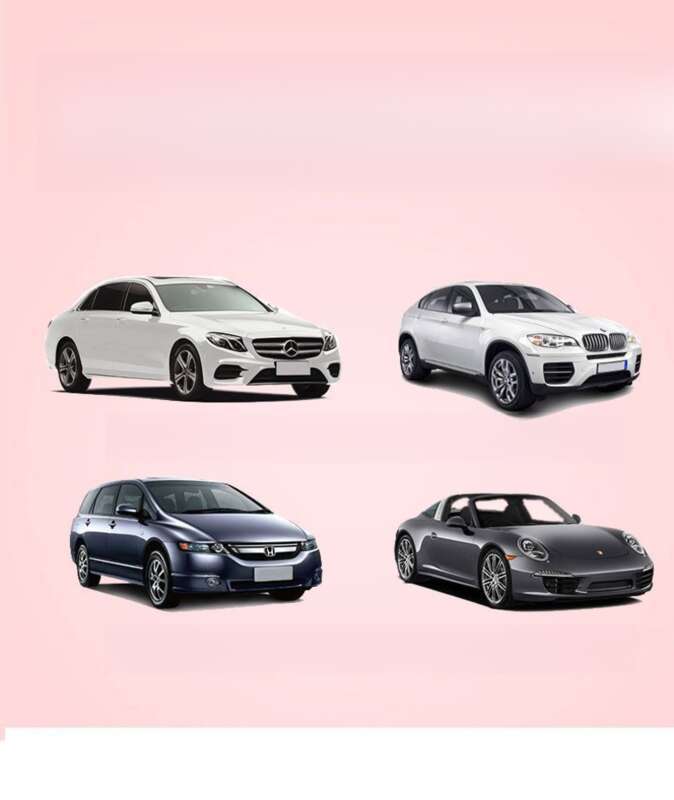 Creative Camellia Flower Printed Embroidered Car Sunshade, Non Punching Suction Cup Type, Rear Universal Version For_voghion.com