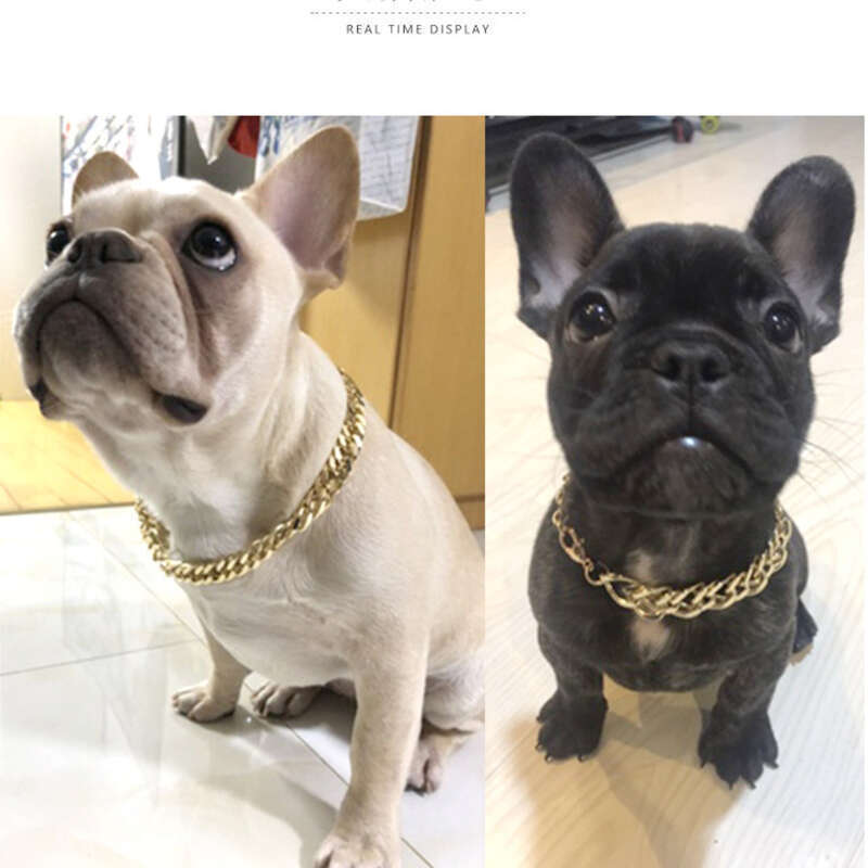 Range valik Teddy Bago, Seadusevõitleja, kuldkett, väikese ja keskmise suurusega koera kaelarihm, lemmikloomade kaelakee, ehted_voghion.com