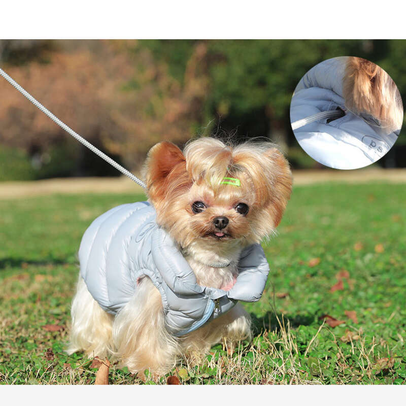 Pet Clothing, Two Legged Down Winter Warm Cotton Jacket, Small Dog Vest, Vest_voghion.com