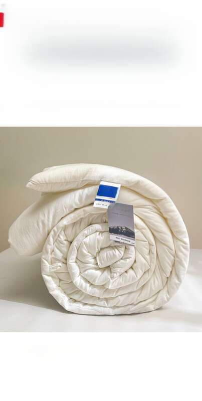 Japan Nishikawa A Grade Cotton Spring And Autumn Quilt 51% Soybean Antibacterial Summer Quilt, Winter Quilt Core,_voghion.com