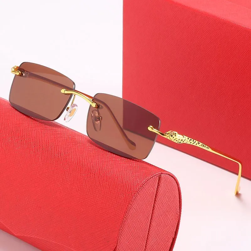 Lunettes de soleil de créateur pour hommes et femmes, marque rectangulaire sans cadre, Sier Tiny Silk Fashion Carti, montures de lunettes de soleil_voghion.com