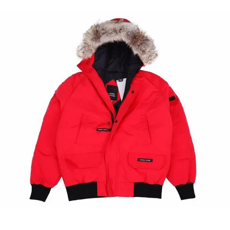 Daunenjacke für Herren, Puffer-Winterjacken, modische Parkas, klassische Designer-Manteau-Jacke, Gänsemantel, Hiver-Parka, Doudoune-Jacke_voghion.com